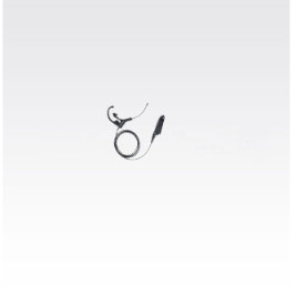 الاسم